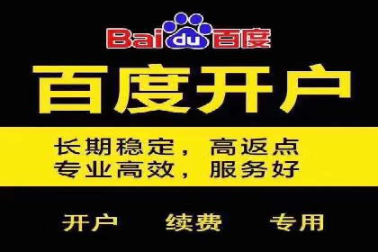 百度竞价推广运营策略解析与实战案例